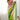 Lustrous Green Heritage Sequins Work Saree