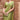 Green Gradient Satin Silk Artisanal Hand Embroidered Work Saree