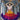 Viscose Rayon Fabric Multi Color Stylish Look Lehenga Choli With Jacket