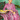 Printed Work On Pink Color Sober Saree In Silk Fabric