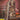 Solid Muslin Fabric Printed Work On Salwar Suit In Coffee Color