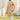 Printed Cotton Fabric Multi Color Readymade Kurta Pyjama For Men