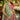 Tissue Sequins Embroidered Pink Designer Bridal Lehenga Choli