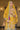 Chinon Fabric Mustard Color Embroidered Readymade Punjabi Style Palazzo Suit