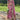 Vaishnavi Andhale Pink Color Border Work Brilliant Wedding Wear Dola Silk Saree