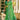 Tissue Silk Fabric Weaving Work On Sea Green Designer Saree With Designer Blouse