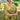 Green Color Fantastic Art Silk Fabric Saree With Border Work