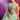 Sea Green Color Alluring Sangeet Function Lehenga Choli In Net Fabric