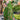 Glamorous Georgette Fabric Floral Printed Saree in Green Color