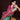 Elegance Cyan Woven Art Silk Wedding Saree