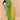 Delicate Green and Yellow Color Weaving Work Bember Silk Saree