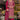 Rani Color Chinon Fabric Beautiful Palazzo Suit