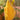Regal Yellow Gota Patti Bandhani Casual Saree