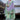 Sea Green Printed Fancy Straight Cut Suit In Pure Linen Fabric