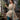 Teal Cotton Casual Salwar Suit With Dupatta