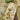 Green Casual Cotton Salwar Suit