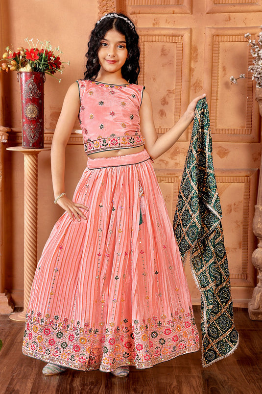 Peach Embroidered Lehenga Choli