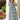 Cream Festive Wear Fancy Fabric Digital Printed Kurti With Palazzo