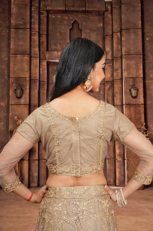 Amazing Sequins Work On Beige Color Net Fabric Lehenga