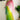 Multi Color Georgette Fabric Engaging Tow Tone Saree