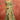 Tempting Net Fabric Green Color Saree With Embroidered Work