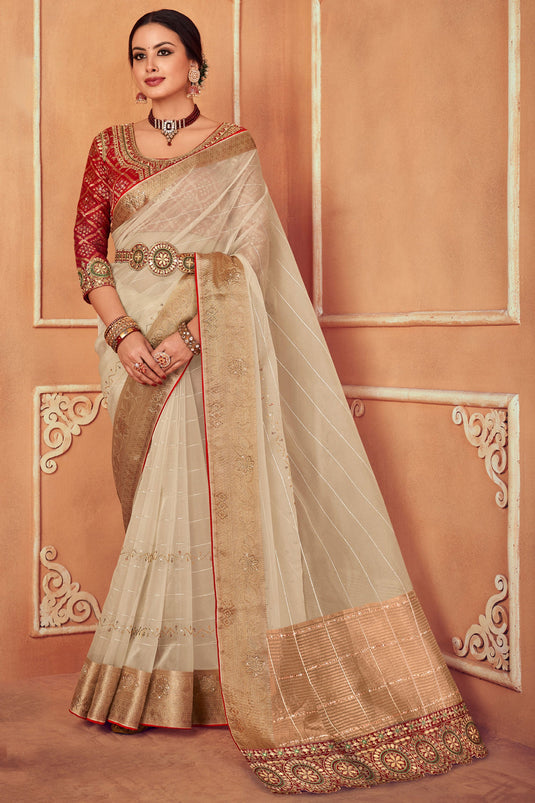 Exclusive Border Work Beige Color Organza Fabric Saree With Embroidered Designer Blouse