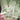 Sequins Work Net Fabric Pakistani Replica Suit In Sea Green Color