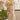 Off White Color Lace Work Organza Fabric Sangeet Wear Saree