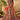 Multi Color Silk Fabric Bridal Lehenga Choli With Embroidery Work