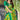 Printed Green Color Chiffon Fabric Daily Wear Saree