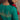Printed Organza Fabric Festive Wear Green Color Designer Saree With Embroidered Blouse