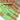 Sea Green Color Pleasant Kashmiri Modal Handloom Weaving Silk Saree With Kashmiri Blouse