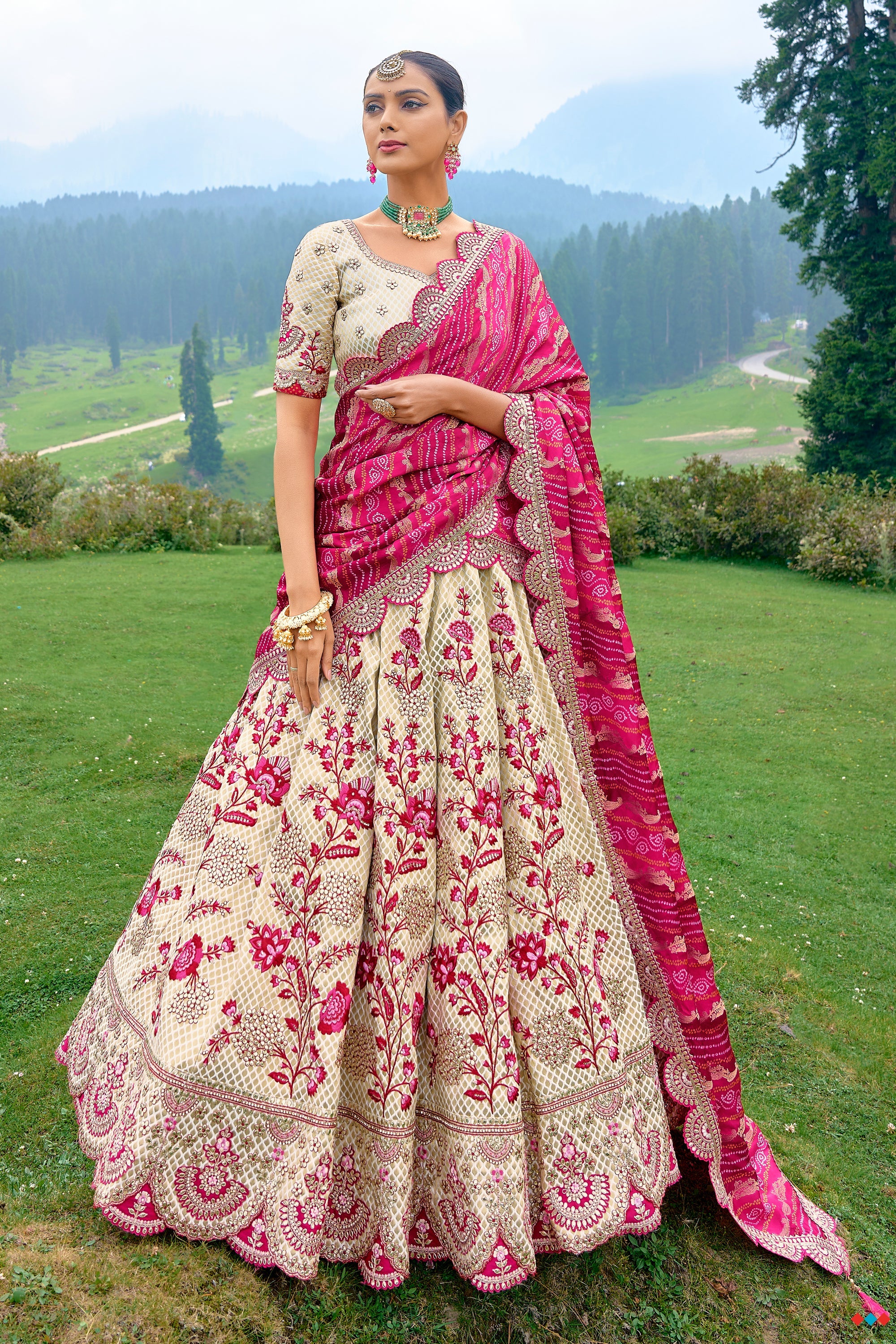 Beautiful lehenga-choli with superb embellishment. | Indian wedding lehenga,  Lehenga choli, India dress