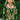 Radiant Green Velvet Fabric Embroidered Lehenga