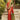 Elegant Kanjivaram Silk Orange Color Saree with Weaving Work