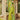 Exquisite Kanjivaram Silk Green Color Saree with Weaving Work