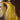 Dimple Sharma Yellow Color Readymade Embellished Georgette Gown