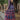 Purple Color Digital Printed Readymade Chanderi Fabric Gown
